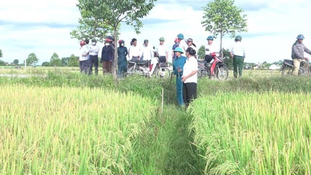 Thôn đầu tiên ở Lâm Trung Thủy bốc thăm, cắm mốc giao ruộng để chuyển đổi tích tụ ruộng đất